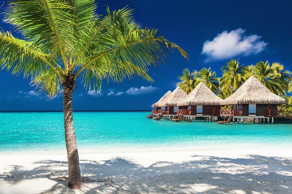 Sponsor a Trip On 5th Year Work Anniversary