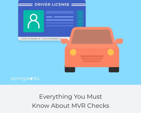 Everything You Must Know About MVR Checks