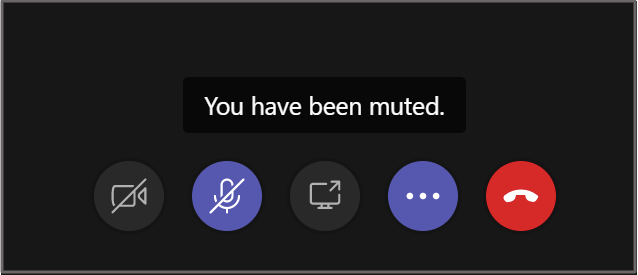 Mute meeting attendees