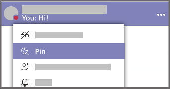 Pin a Chat